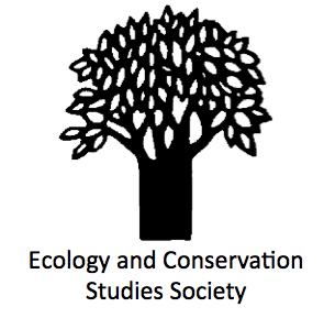 ECSS Logo 2