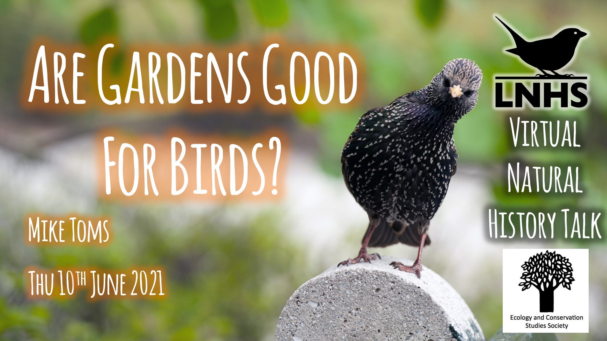 Are Gardens Good For Birds AD
